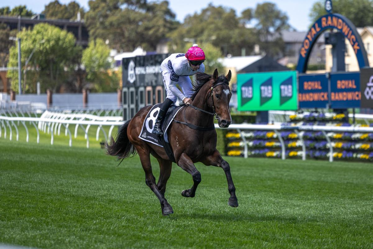 Playing By The Rules