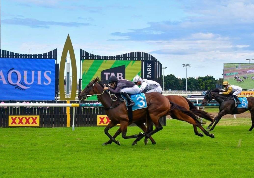 TOESONTHENOSE WINS AT THE GoLD COAST !