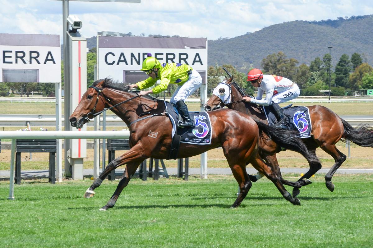 Picture of the author