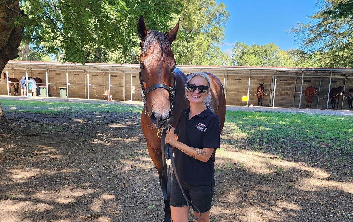 Big Day Out eyes a third Tumut Sprint