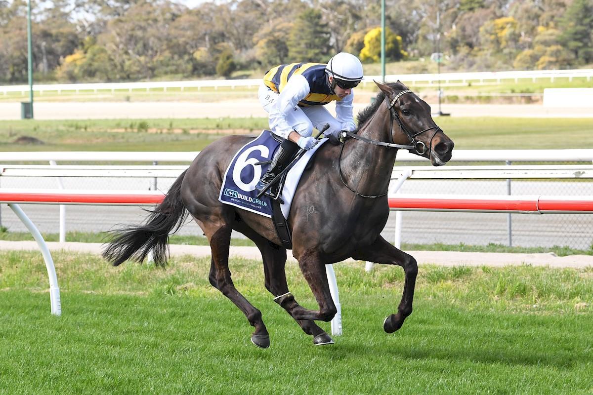 Racing Preview - 24/04/26