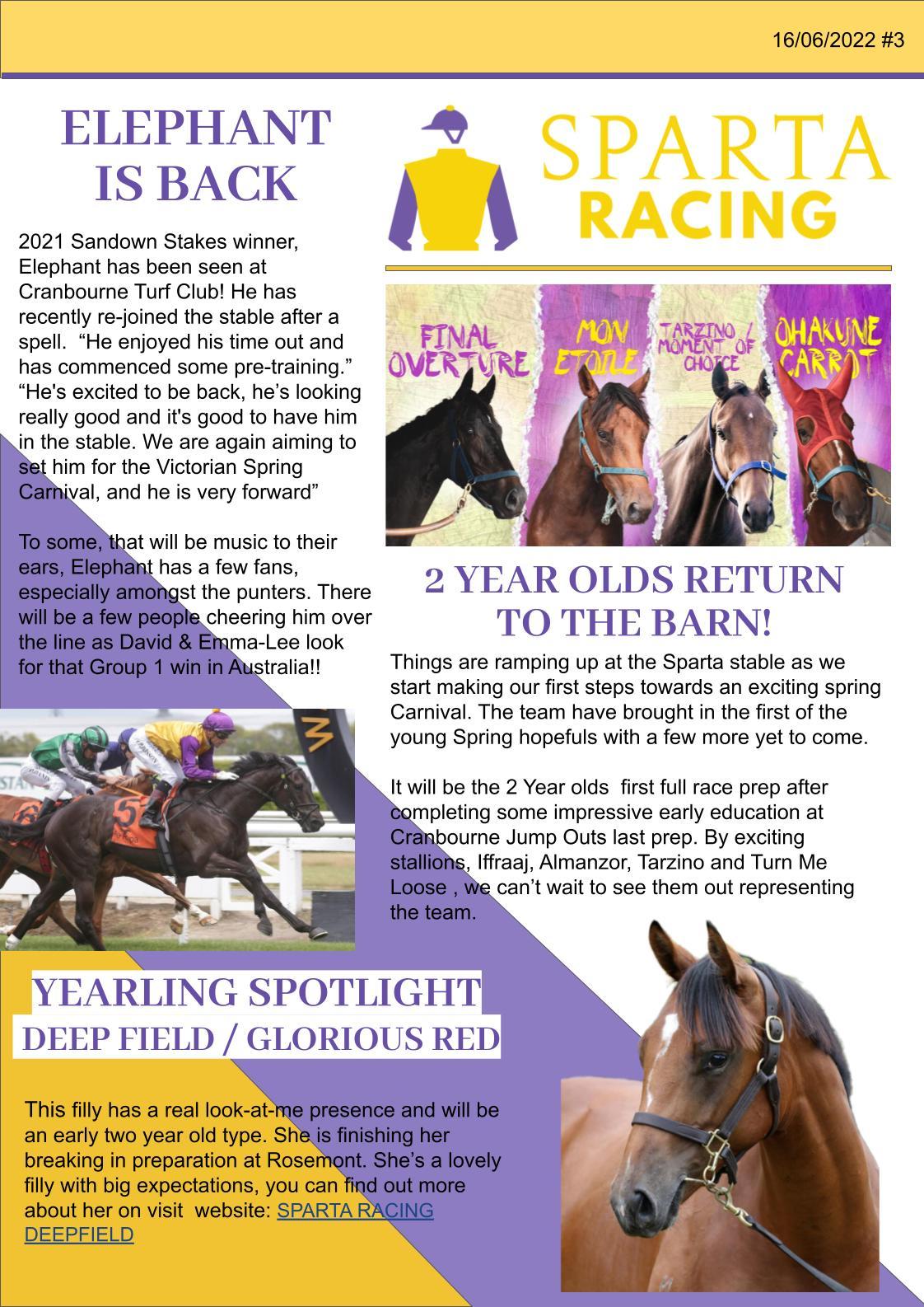 Stable Newsletter #3