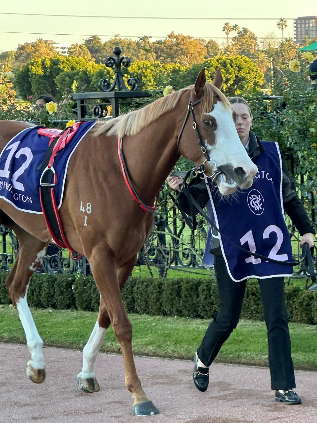 Picture of the author