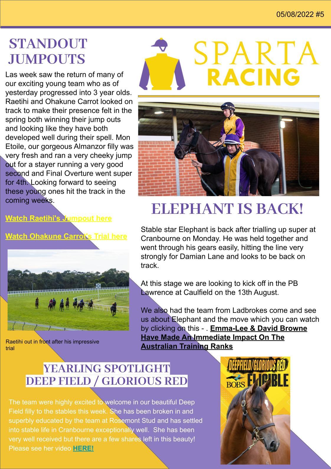 Stable Newsletter Number 5