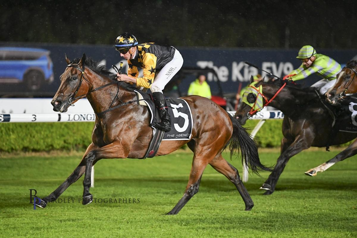 Picture of the author