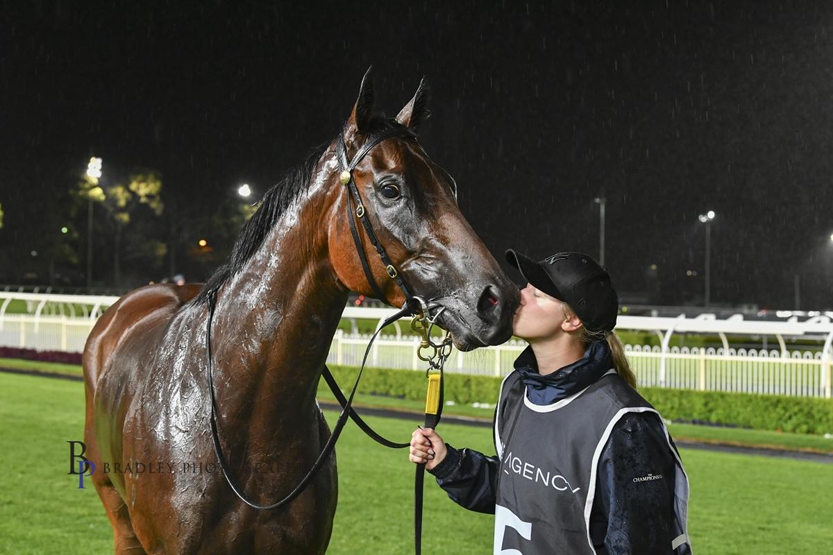 Picture of the author