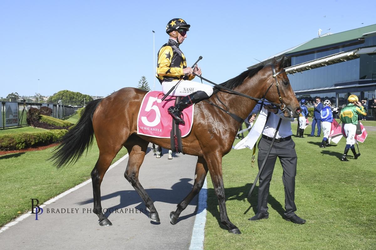 Picture of the author