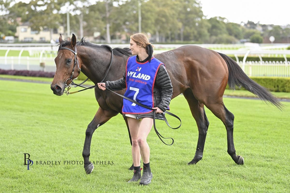 Picture of the author