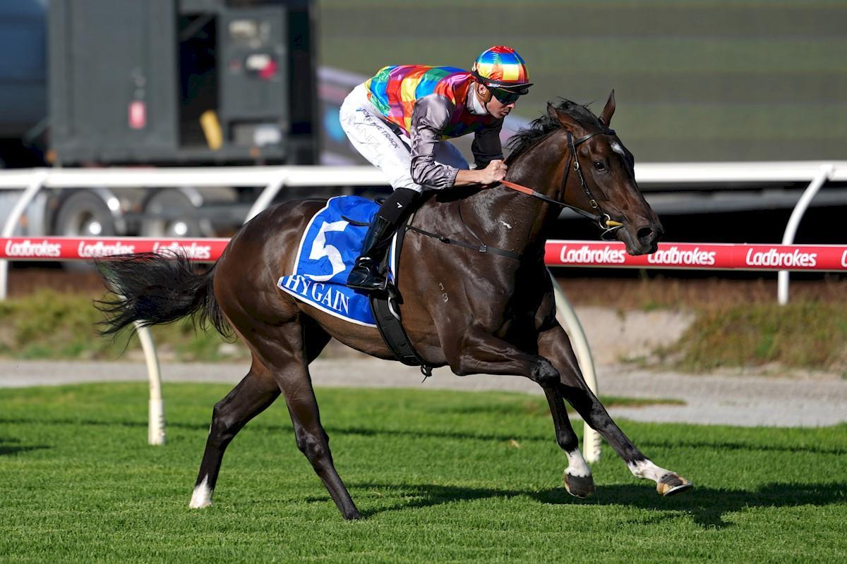 Leopard Shark strikes at Pakenham