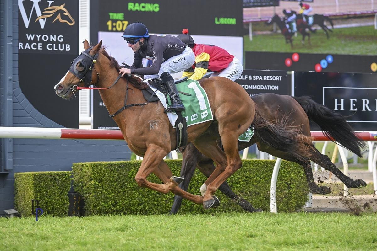 THE KING SALUTES AT WYONG !