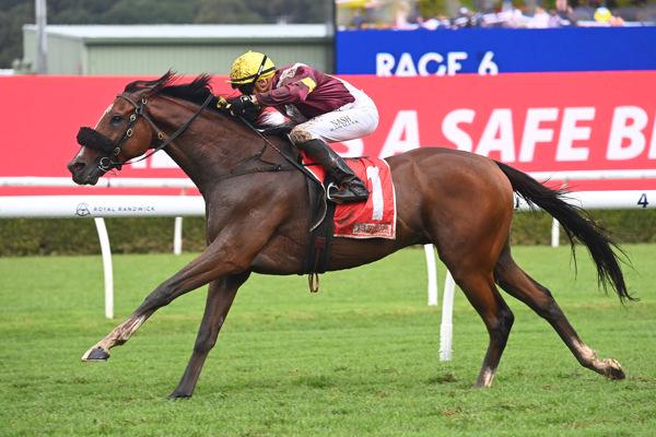 Huetor Back to His Best in JRA Plate