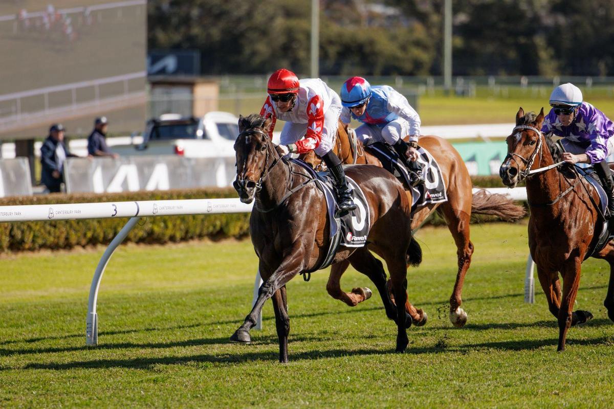 Invincible Filly Wins on Debut