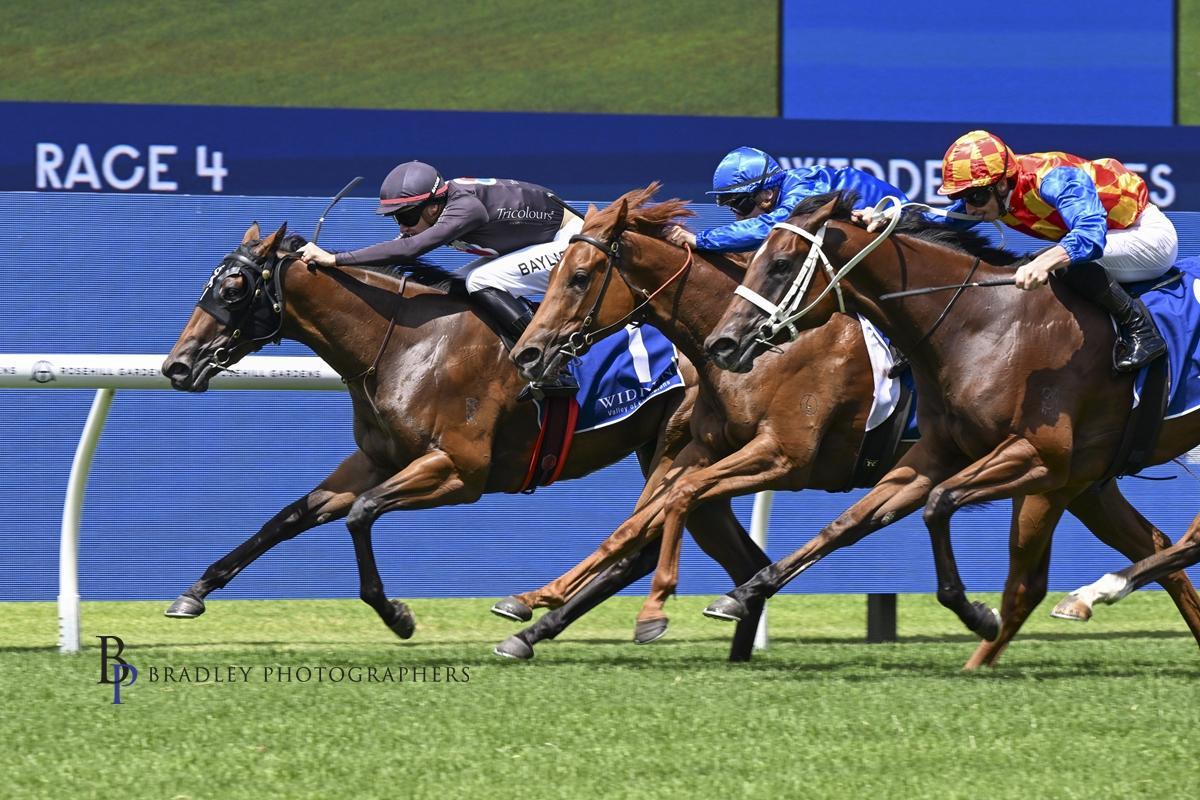 THE PLAYWRIGHT, ARTISTIC VENTURE AND AUTUMN BLONDE IMPRESS AT RANDWICK TRIALS