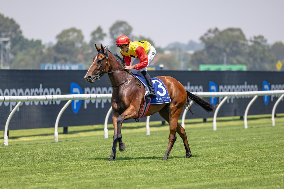 Playing By The Rules