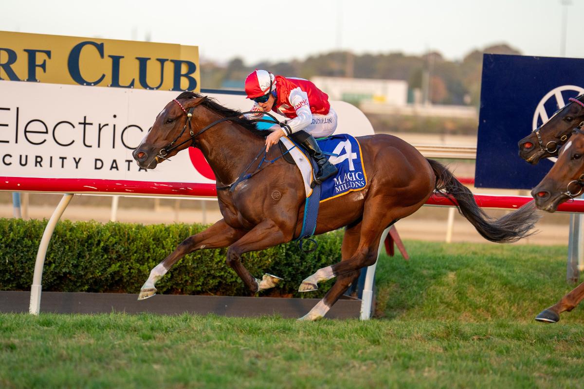 No Love Lost At Wagga Carnival