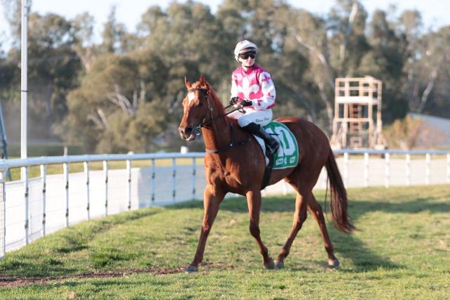 Rosehill trip headlines three massive days for MTR