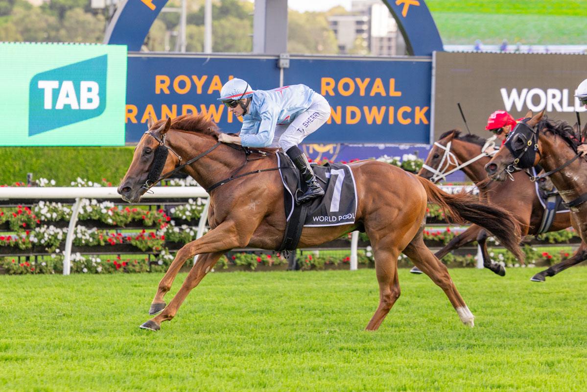 King Of Roseau Wins G3 Liverpool City Cup