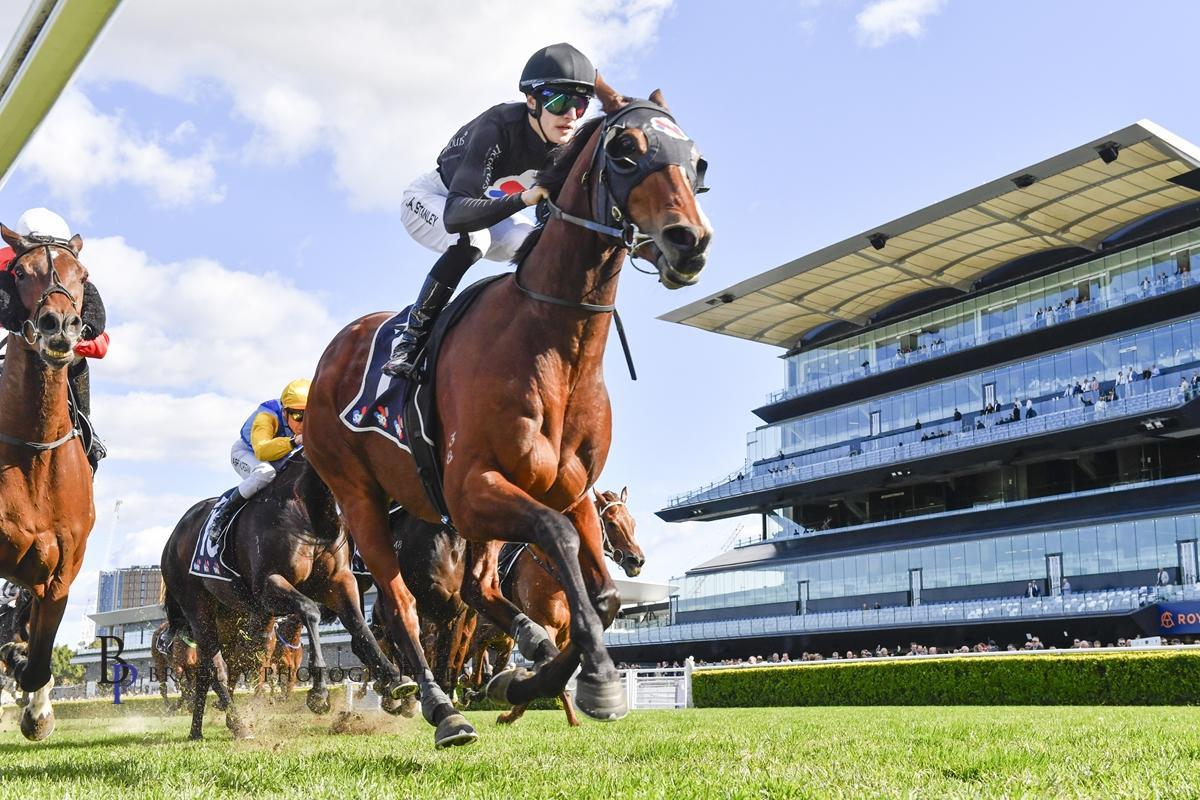 WALKING PAINTING IS TOO GOOD AT RANDWICK !