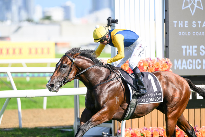 RSVP: Tulloch Lodge Yearling Parade at Evergreen Stud