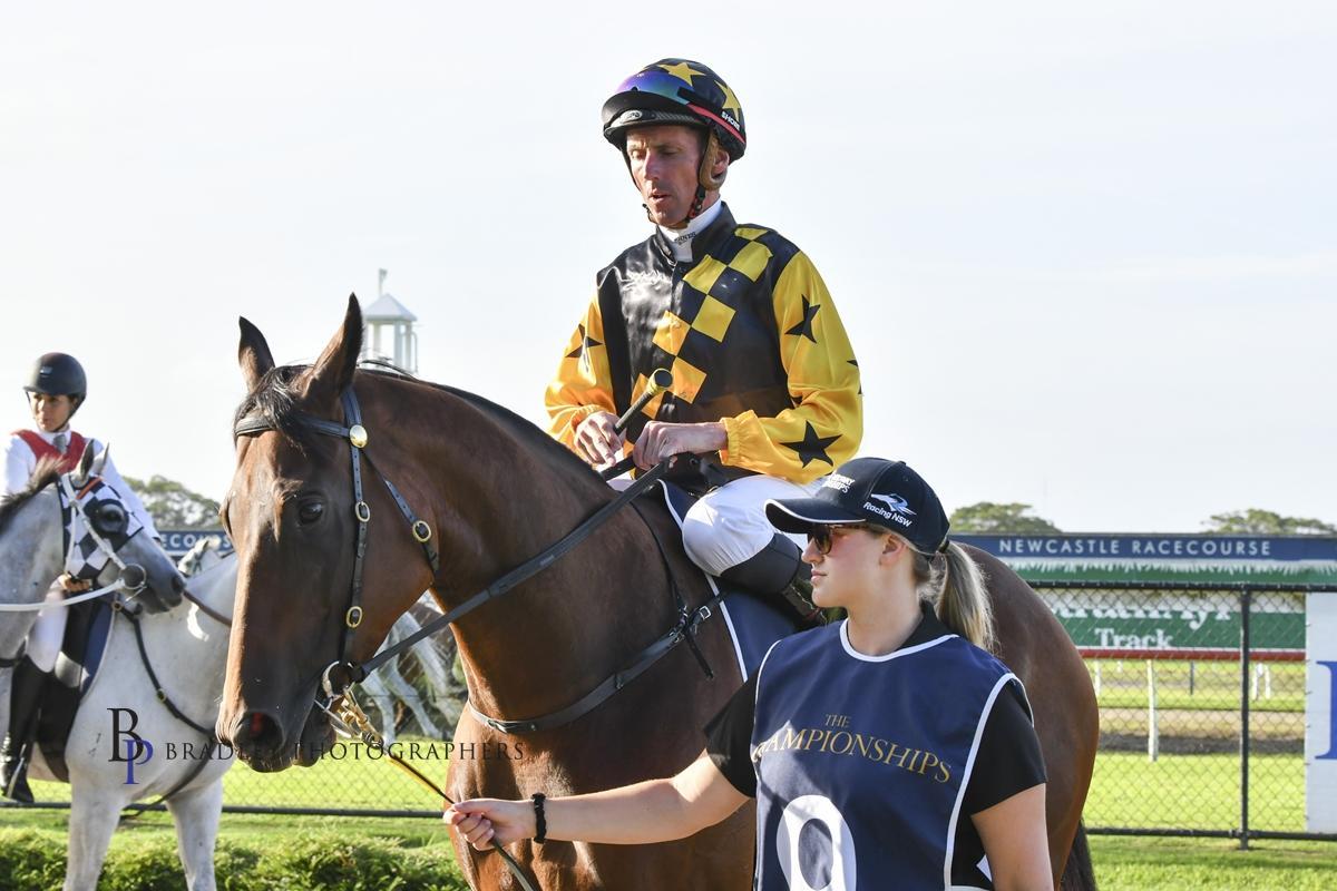 Picture of the author