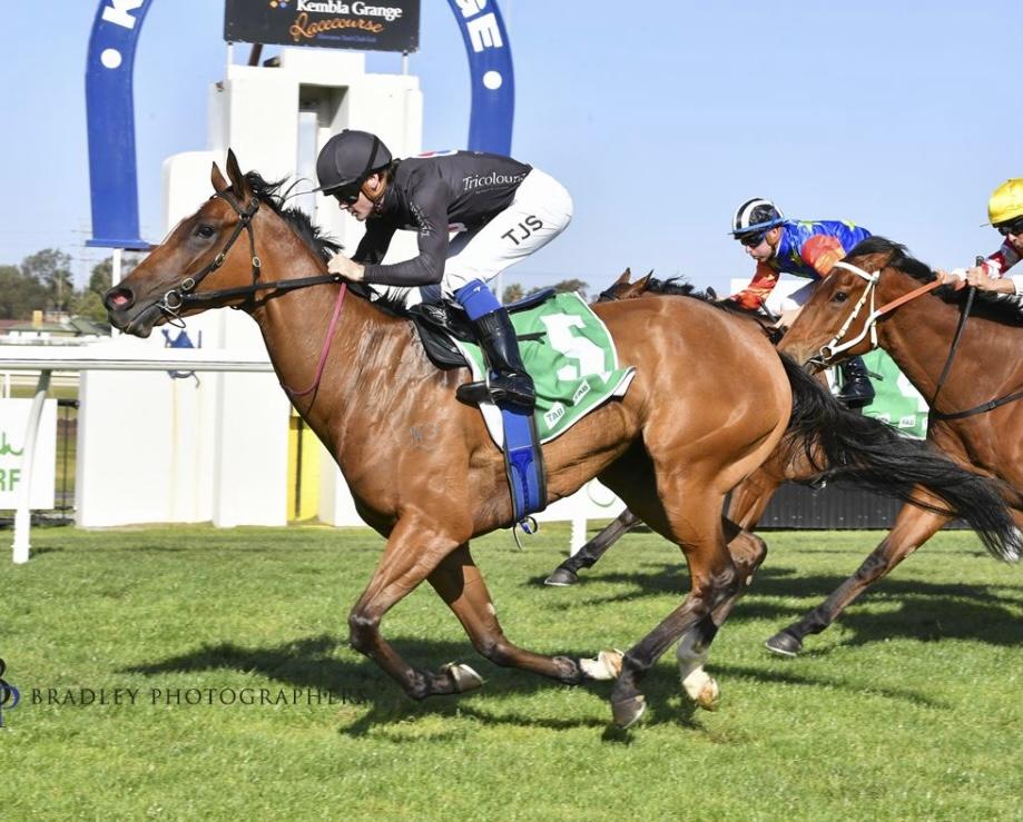 Winning return for Rotorua !