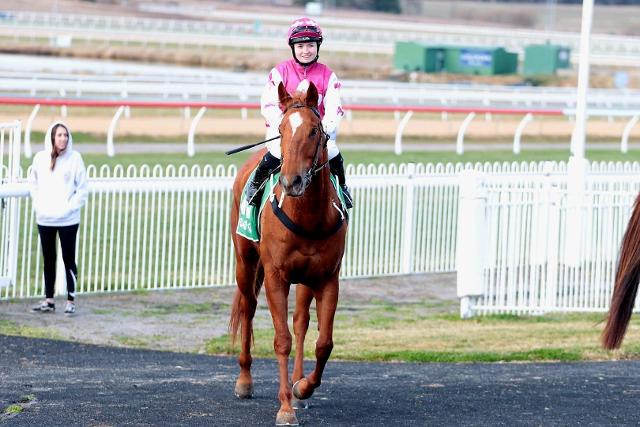 O’Driscoll and Murray join MTR