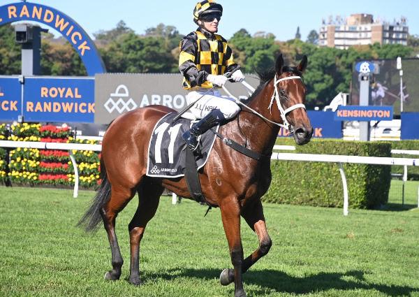 JJJ TIP SHEET SAT 24th AUGUST!