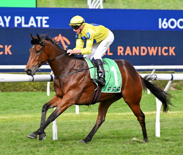 Dunn Stable's Just Wild About Harry (Coffs Harbour, Fri)