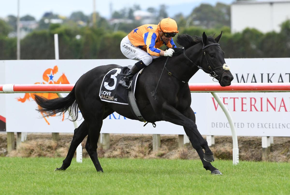 (homepage) Lovatsville and the Australian Trainers Association strengthen ties, renew partnership for the 25/26 racing season