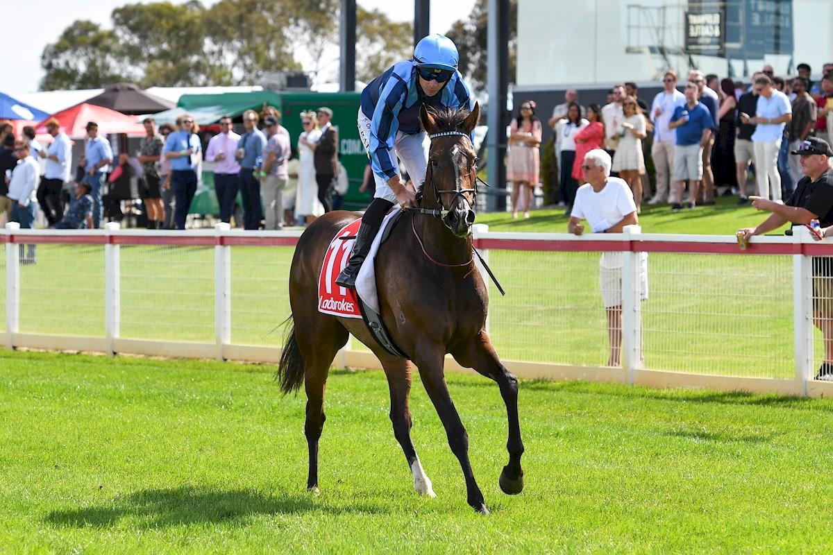 Racing Preview - 08/06/25