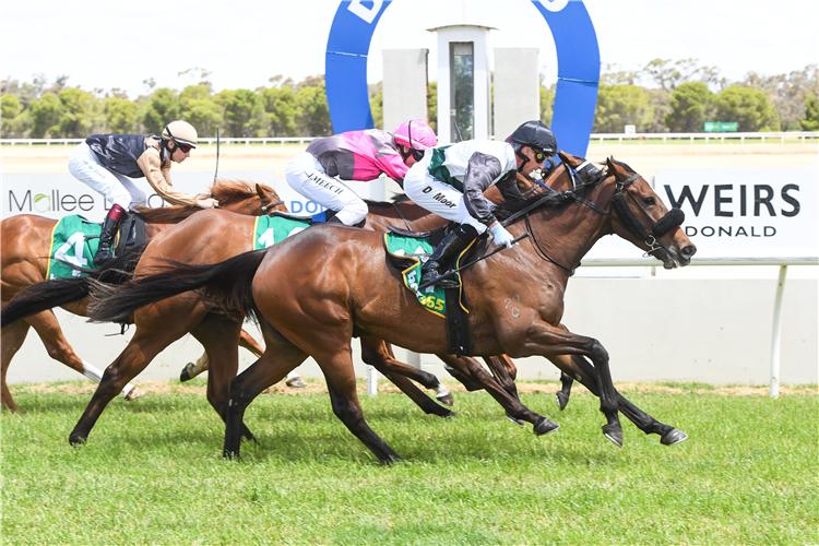Racing Preview - 18/10/25