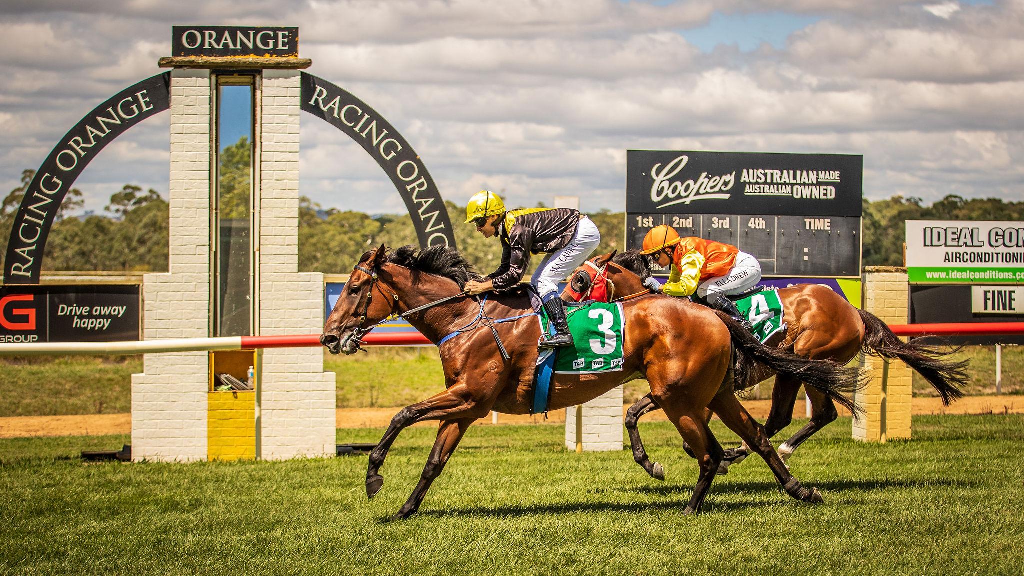 Picture of the author