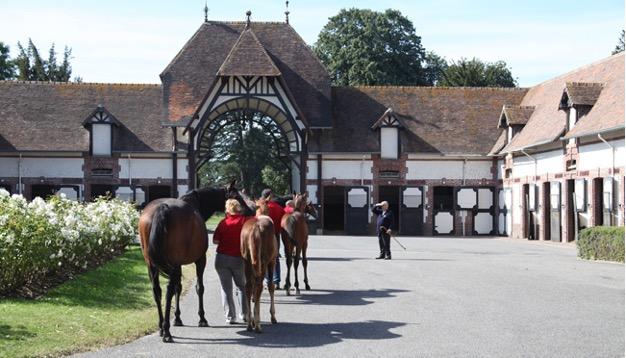 Picture of the author