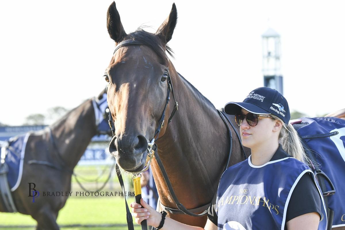 Picture of the author