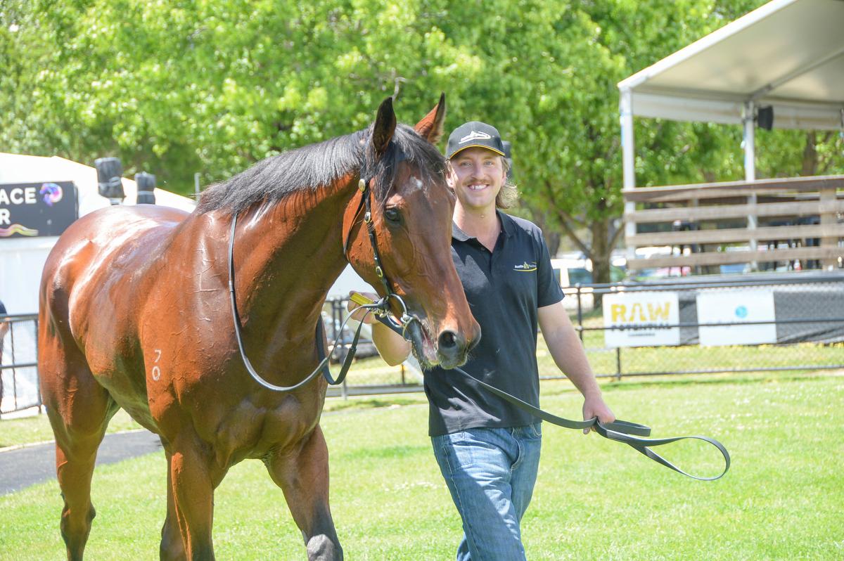 Picture of the author