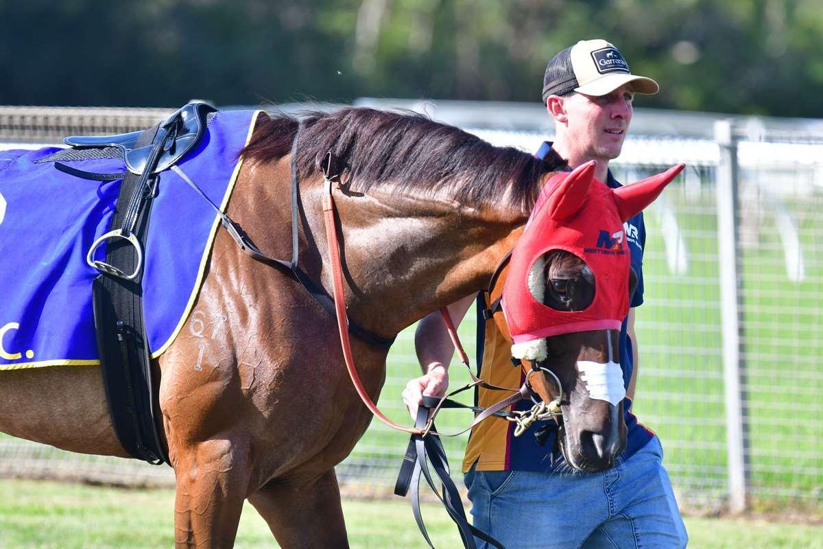 MAD ANA HAS A BALL AT BALLINA