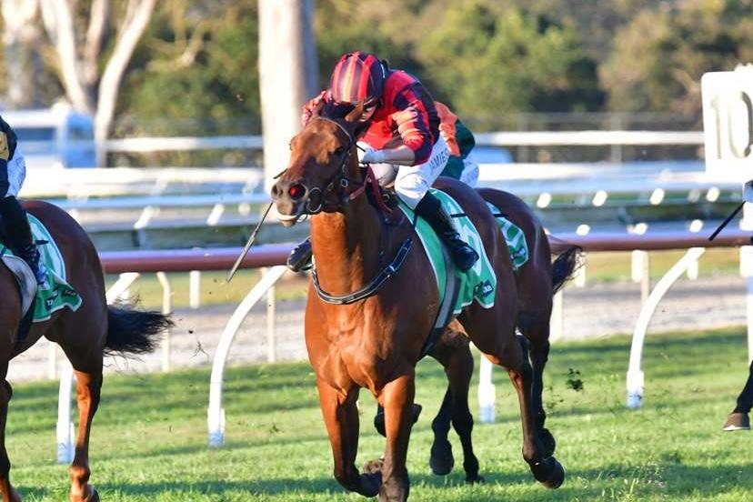 BIG WIN FOR PETITE PALACE