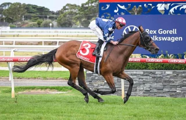 Avatar-HorsesAvailable