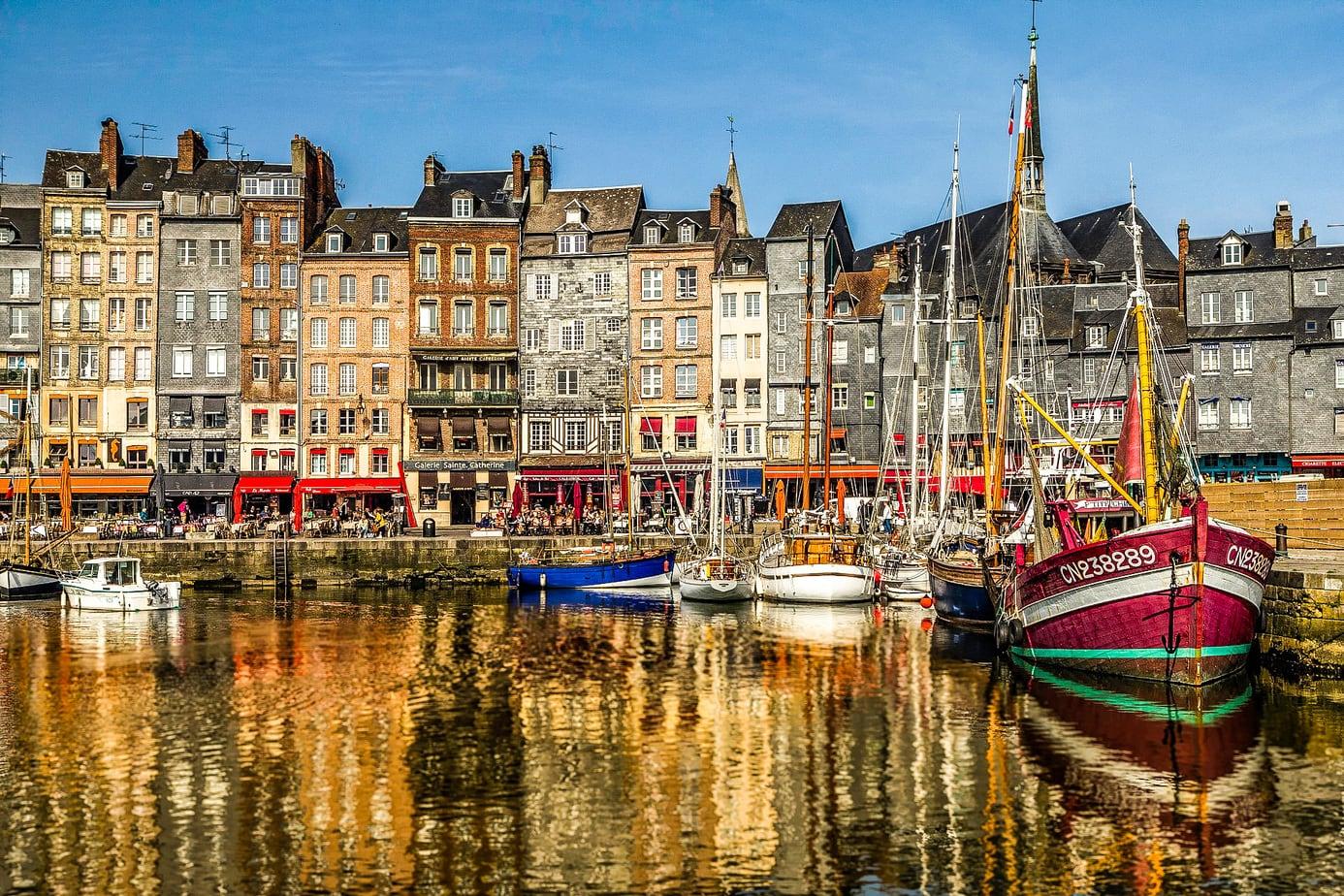 Picture of the author