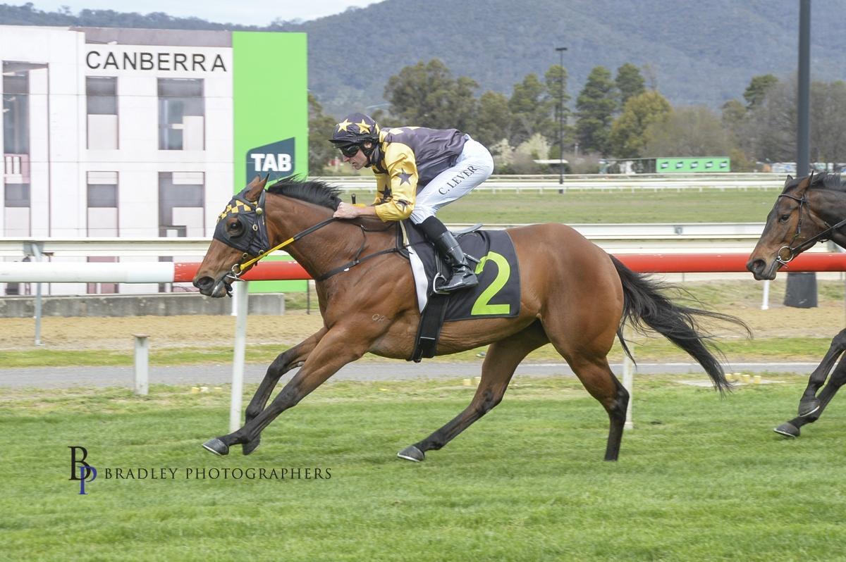 Picture of the author