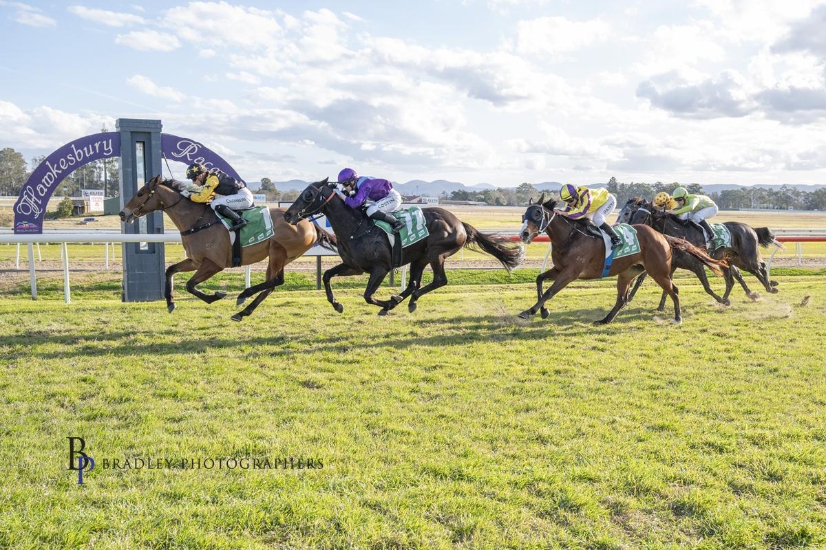 Picture of the author