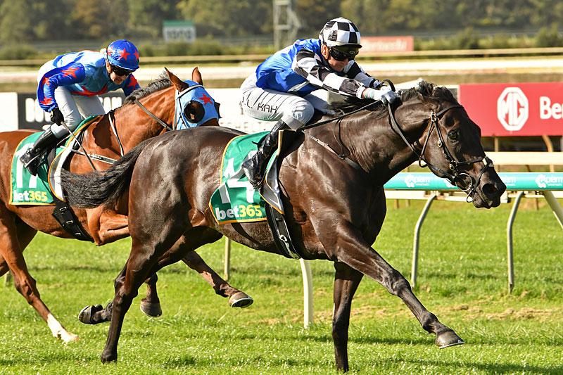 Rawiller chasing second Balaklava Cup