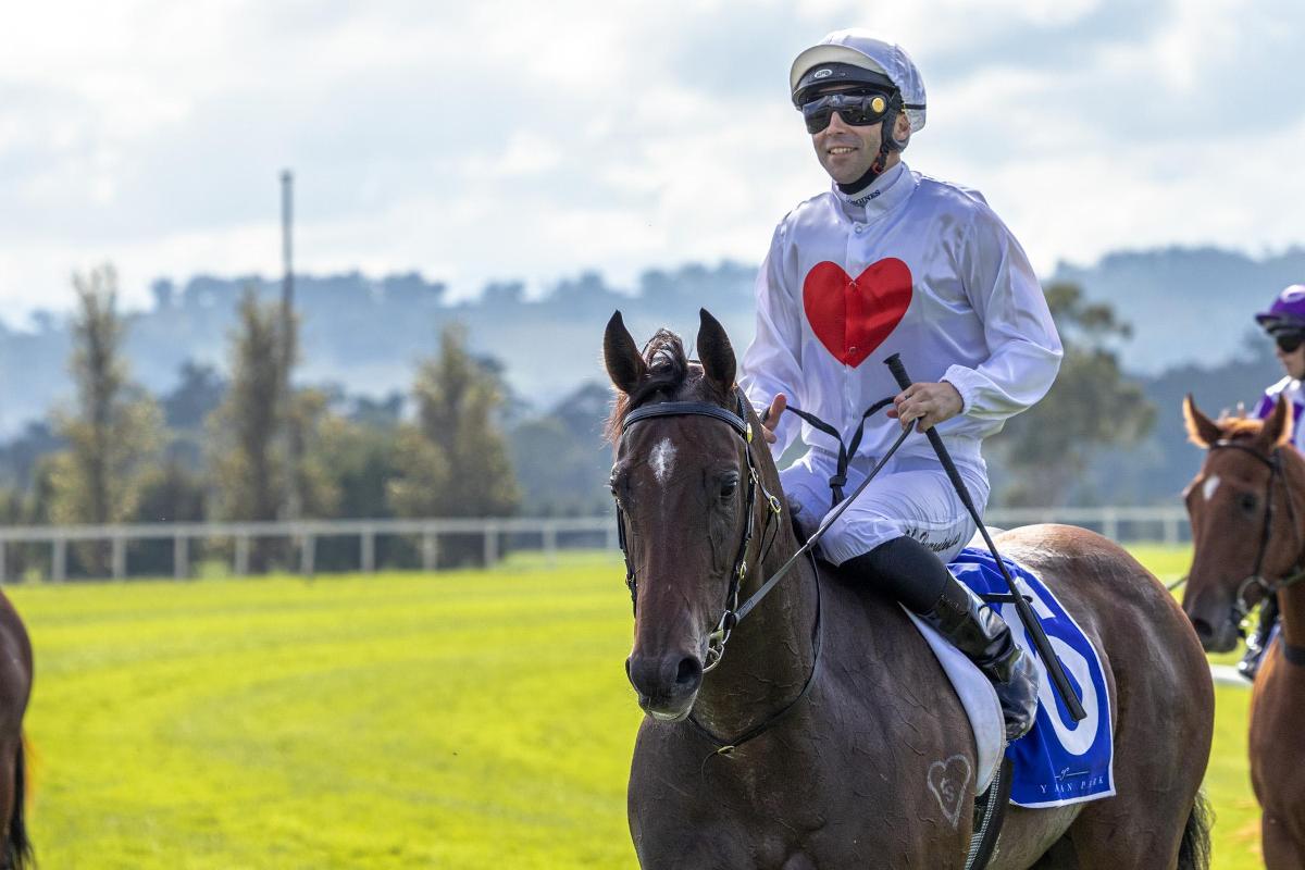 Playing By The Rules