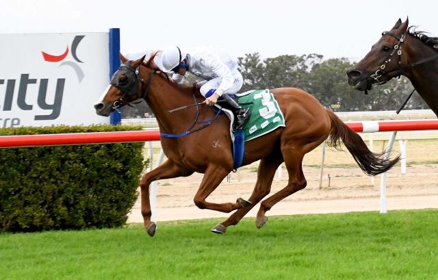 Travers striking gold with in-form Gold Tracker