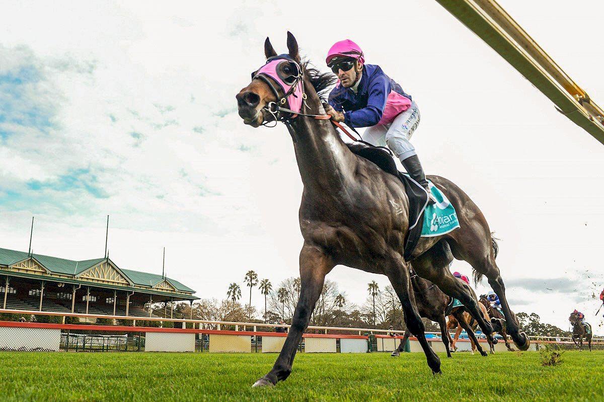 Gallery | Express Racing Pty Ltd
