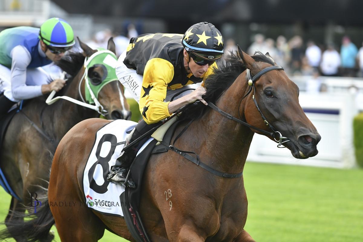 Picture of the author