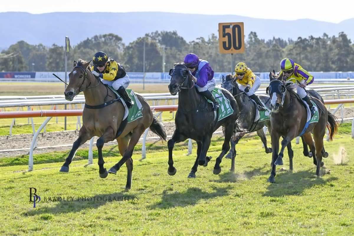 Picture of the author