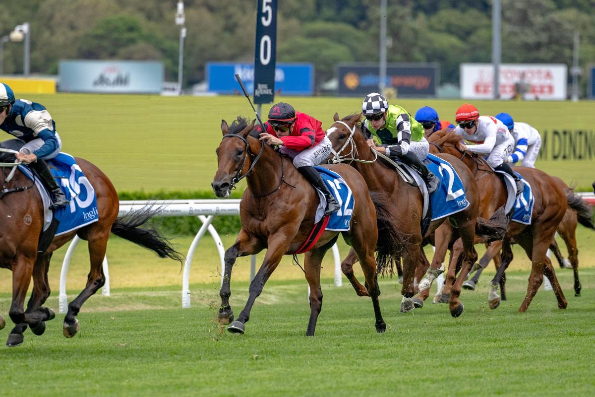 Playing By The Rules