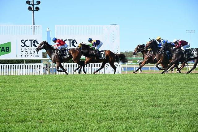 Humphree Bear wins 1st up at Sunshine Coast
