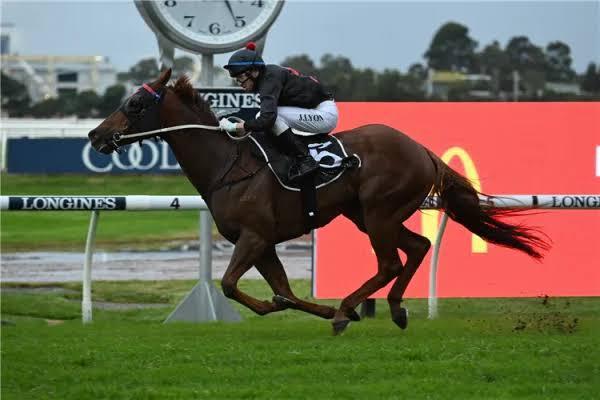 Mnementh and the Trek to The Kosciuszko